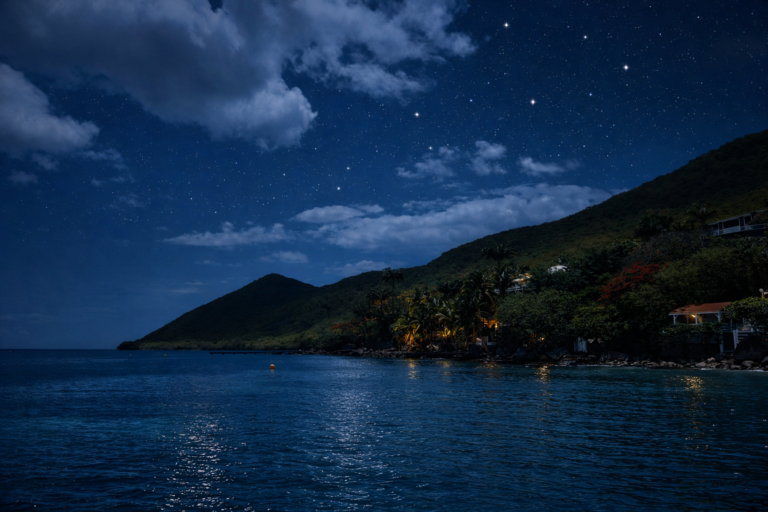 martinique sailing tour